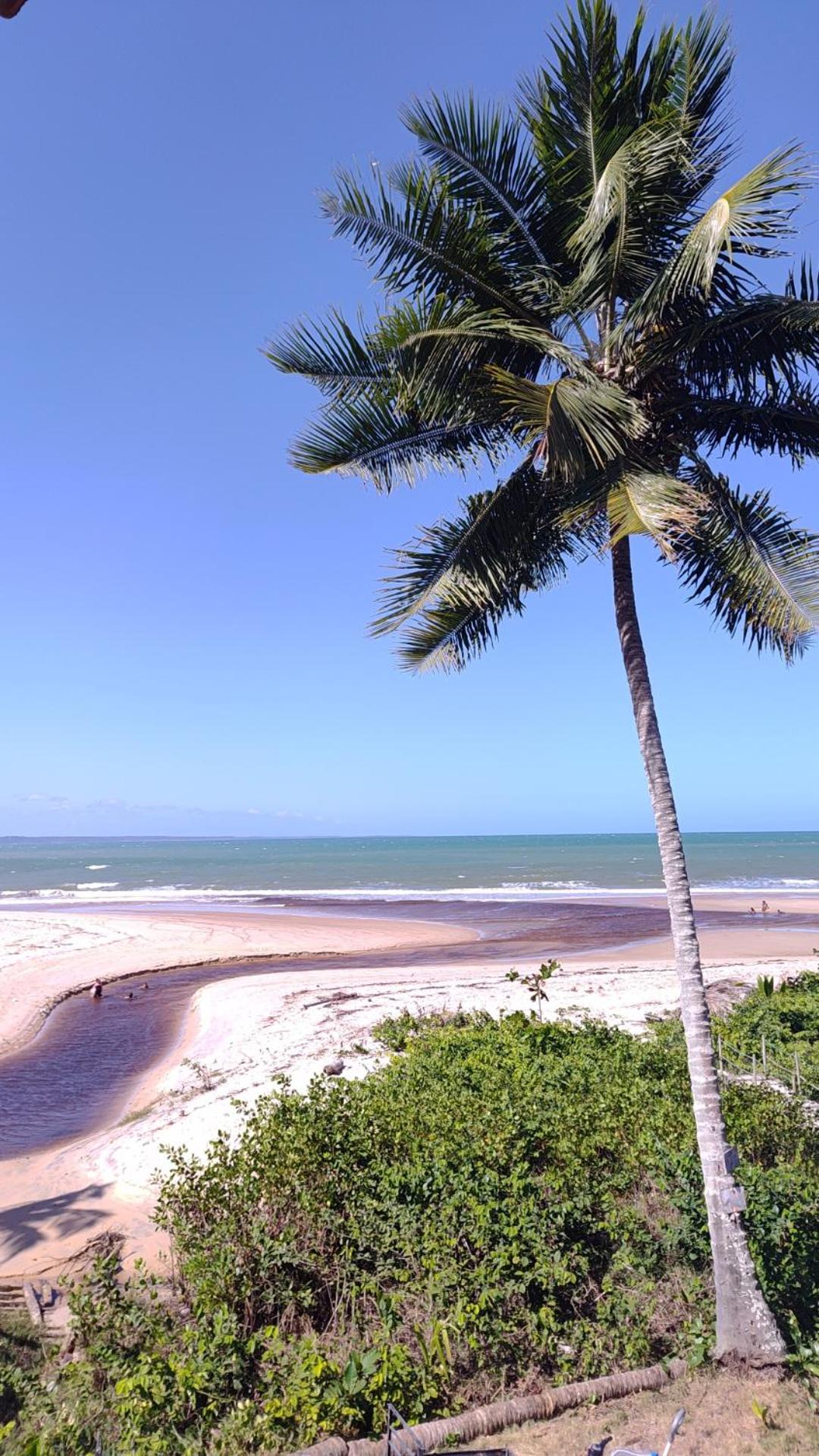 סנטה קרוז קברליה Paraiso Beach Hostel E Pousada מראה חיצוני תמונה